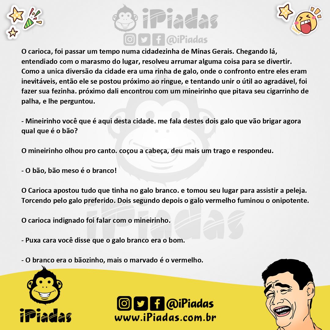Ilustração da piada Galo bonzinho no iPiadas