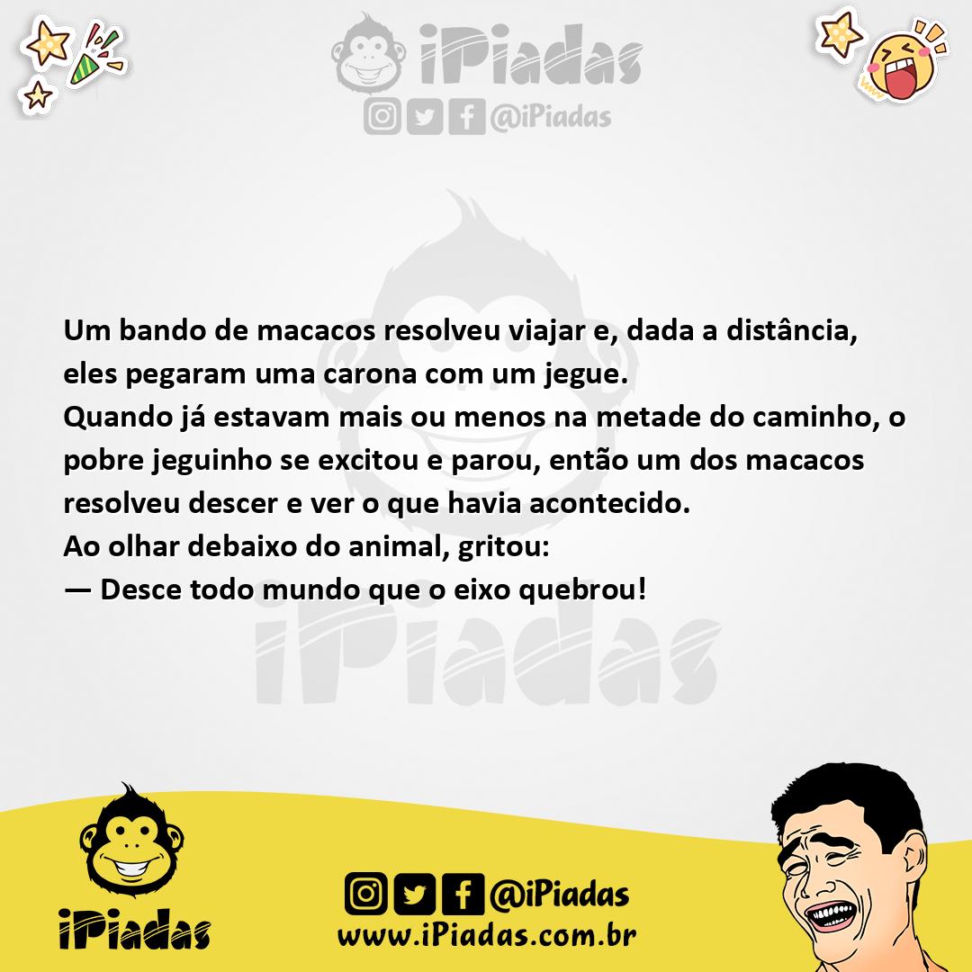 Ilustração da piada Jegue Excitado no iPiadas