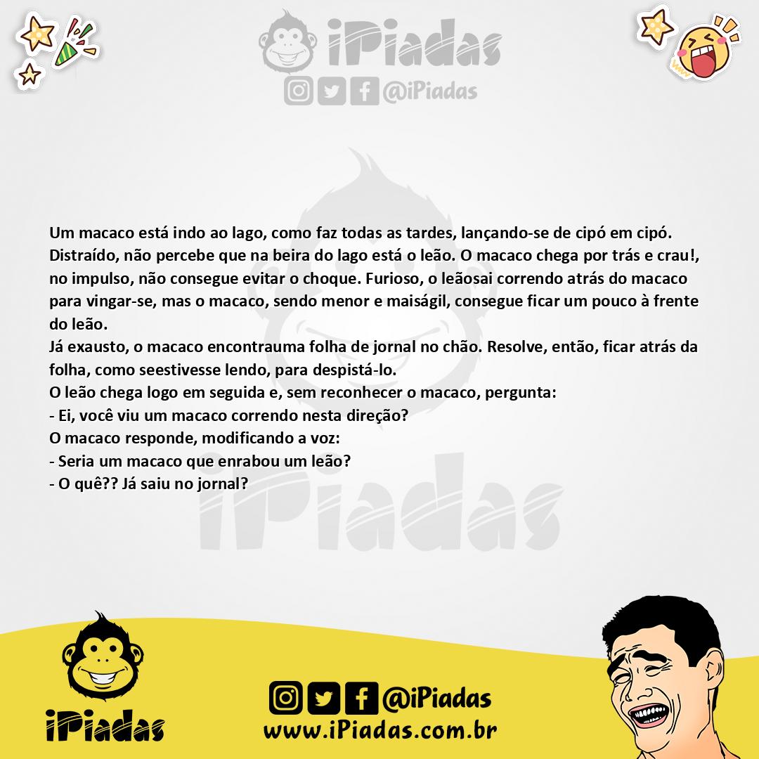 Macaco tarado Piadas Engraçadas