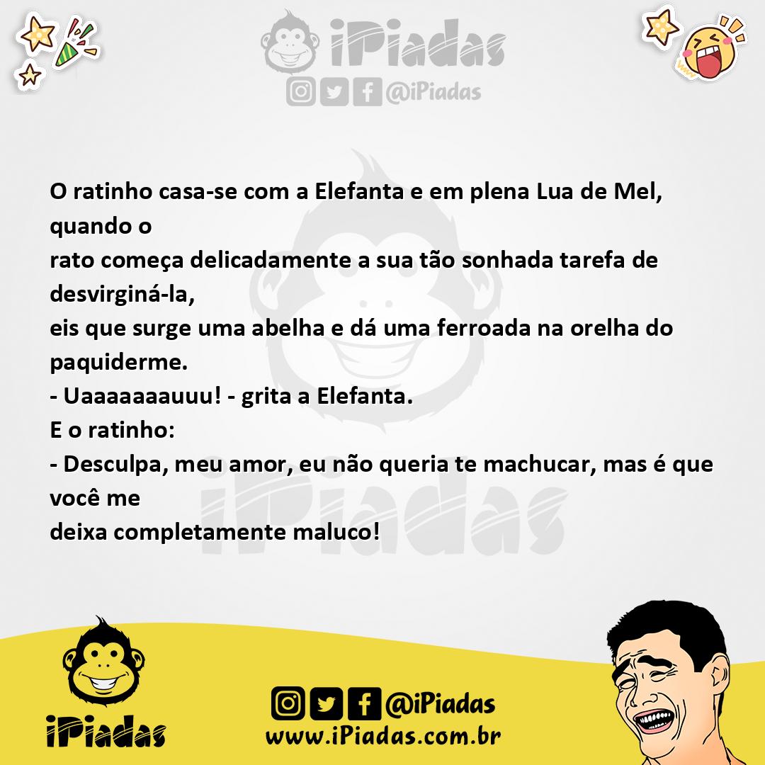 Ilustração da piada O casamento do rato no iPiadas