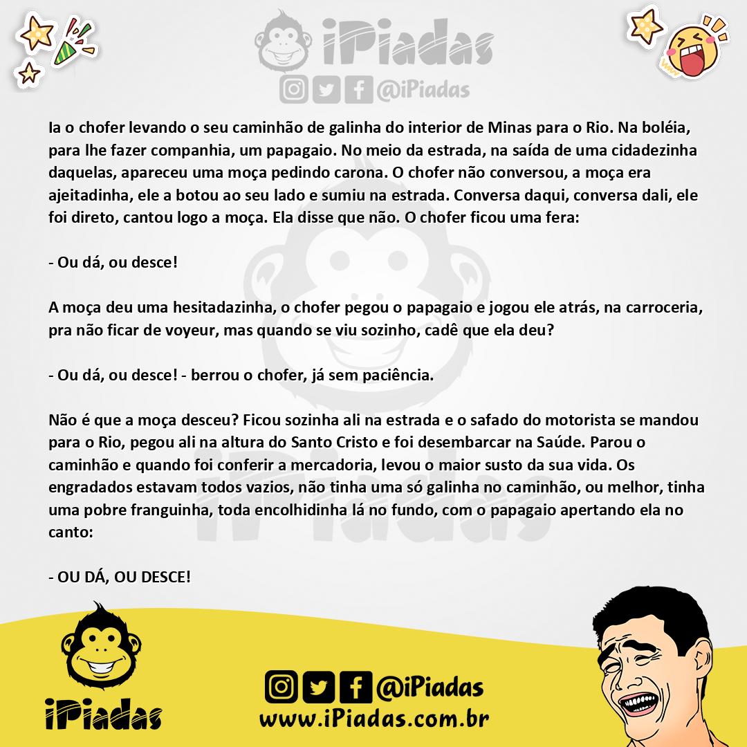 Ilustração da piada O papagaio aprendeu no iPiadas