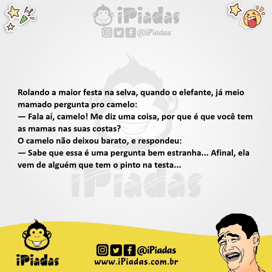Ilustração da piada Observações dos Animais no iPiadas