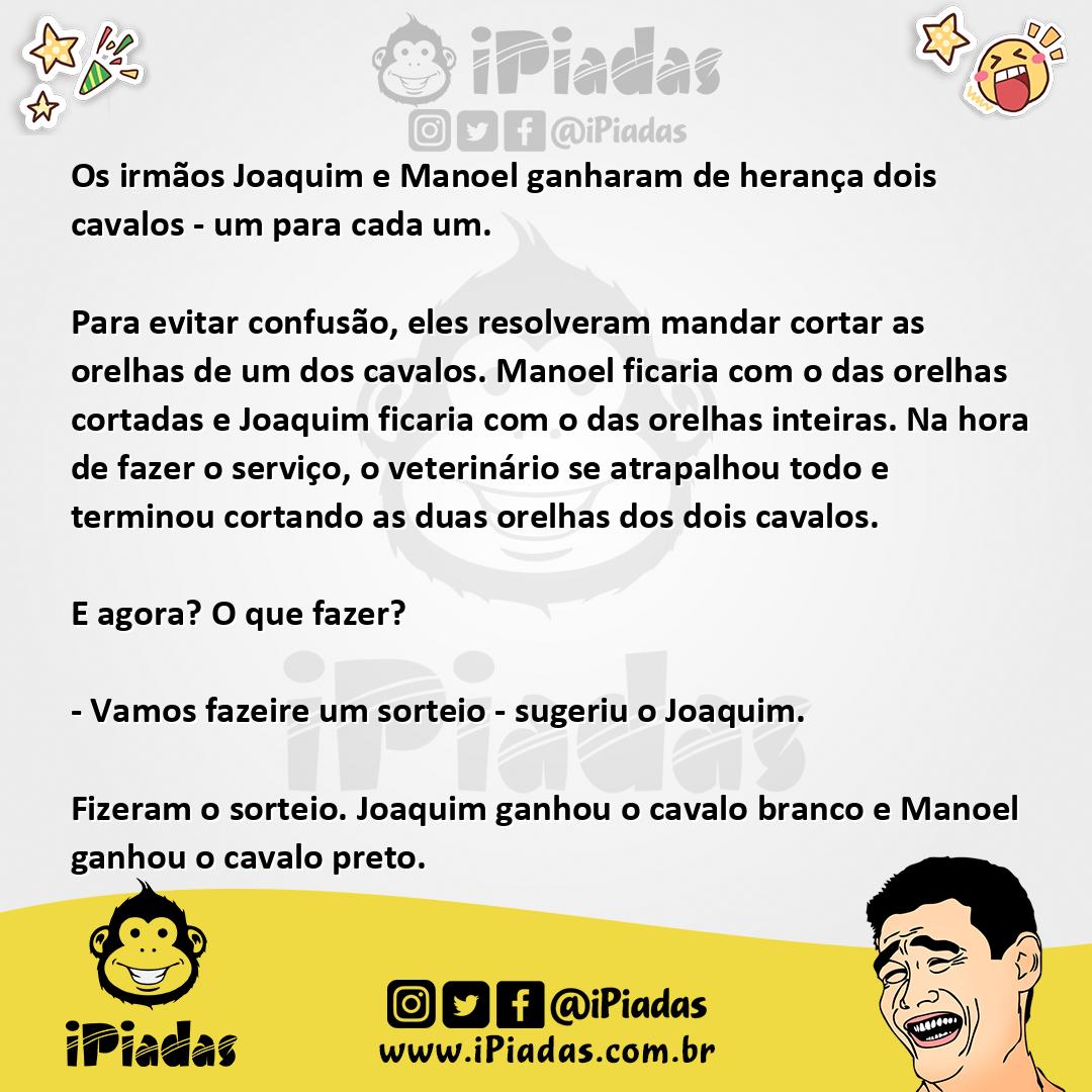 Os cavalos Os cavalos