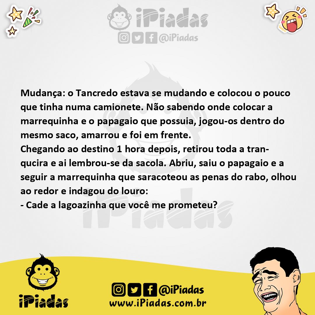 Ilustração da piada Papagaio em Trânsito no iPiadas