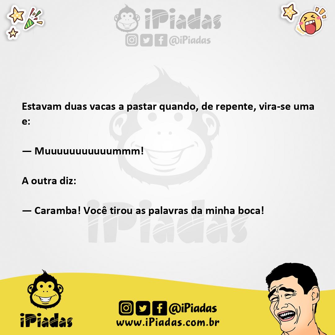 Ilustração da piada Papo de Vacas no iPiadas