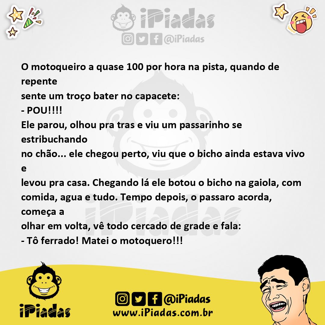 Ilustração da piada Passarinho criminoso no iPiadas