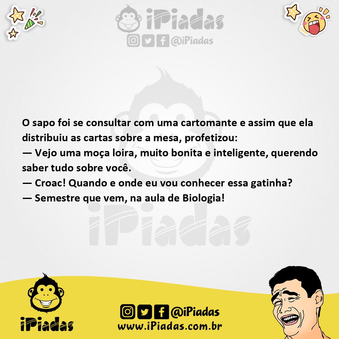 Ilustração da piada Sapo e a Cartomante no iPiadas