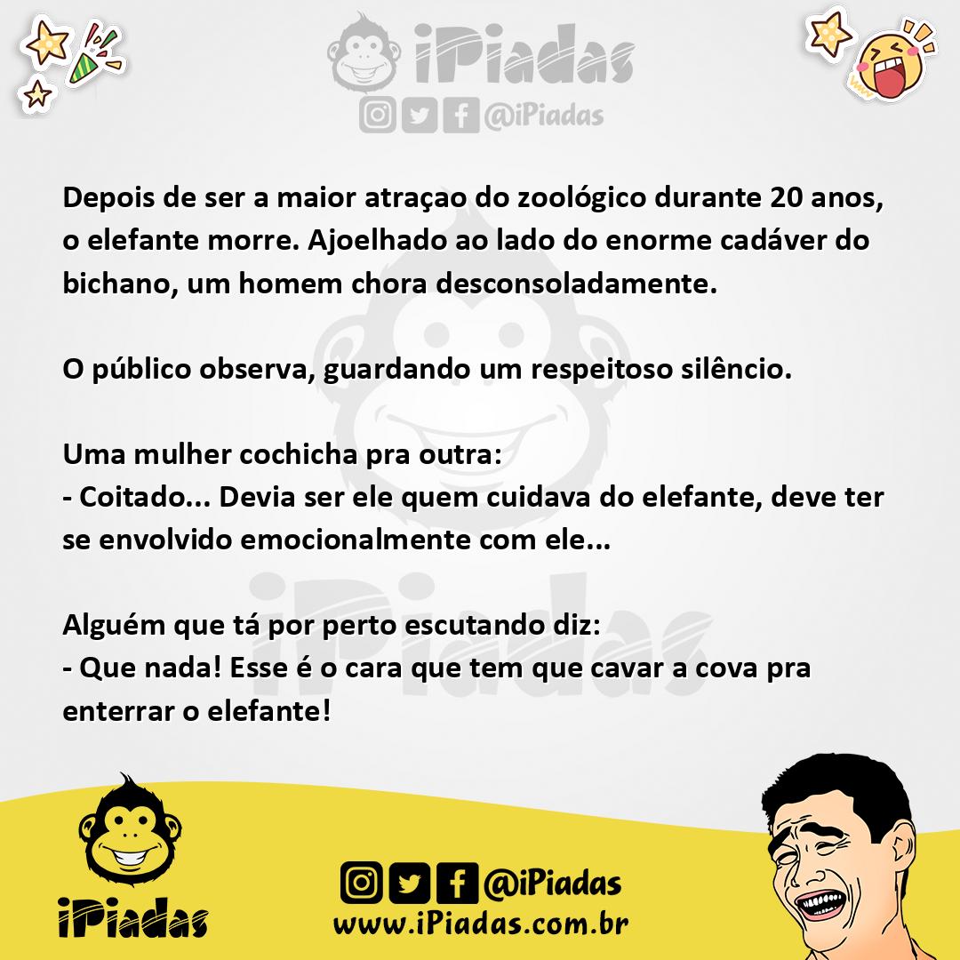 Ilustração da piada Tragédia No Zôo no iPiadas