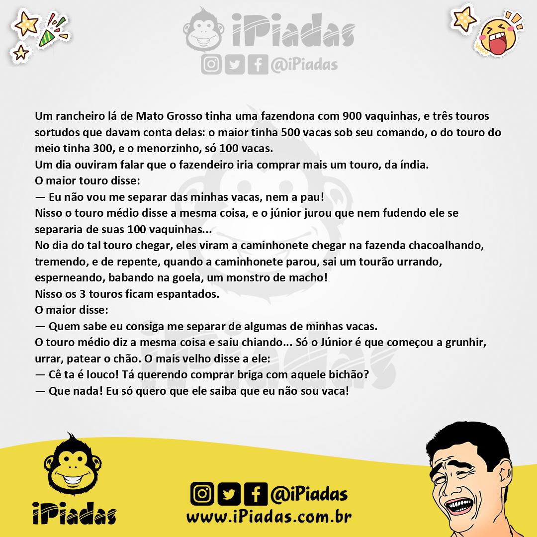 Ilustração da piada Três Touros no iPiadas