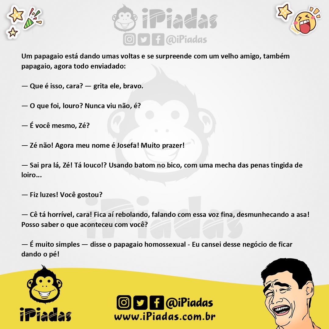 Ilustração da piada O Papagaio Gay no iPiadas