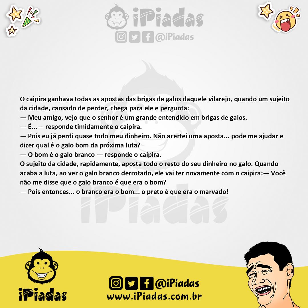 Ilustração da piada Galos de Briga no iPiadas