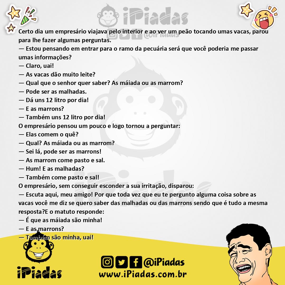 Ilustração da piada Tipos de Vacas no iPiadas