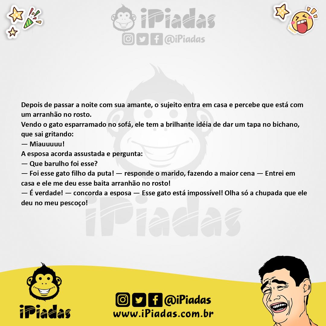 Ilustração da piada Culpa do Gato no iPiadas