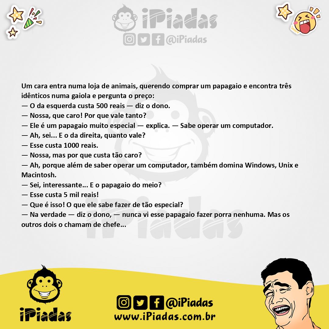 Ilustração da piada Os Três Papagaios no iPiadas