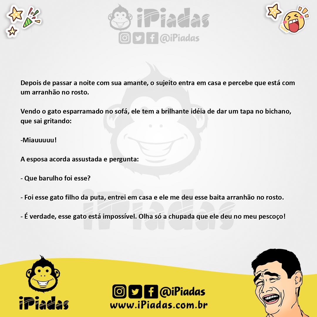 Ilustração da piada Gato impossível no iPiadas