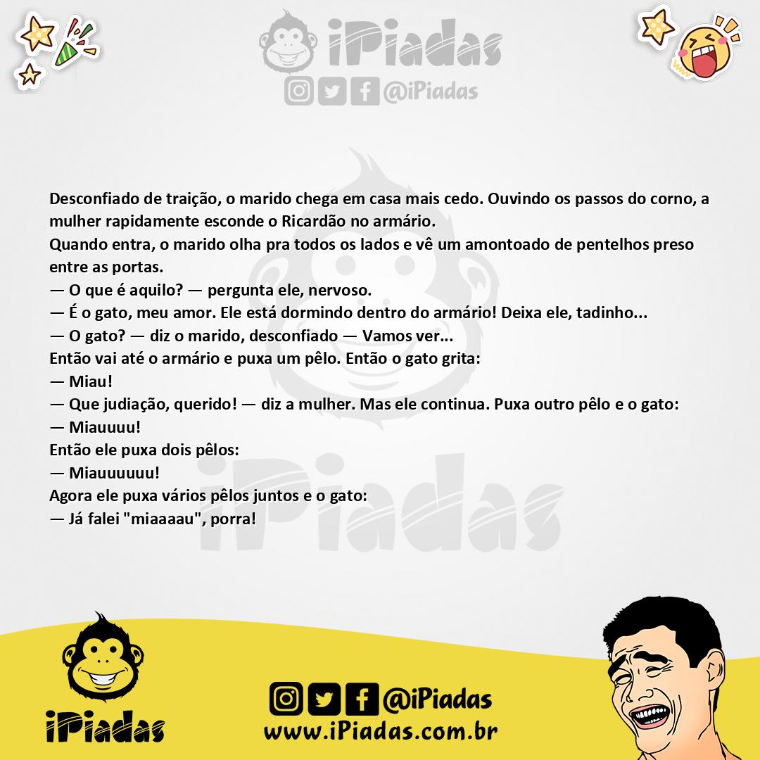 Ilustração da piada Gato no Armário no iPiadas