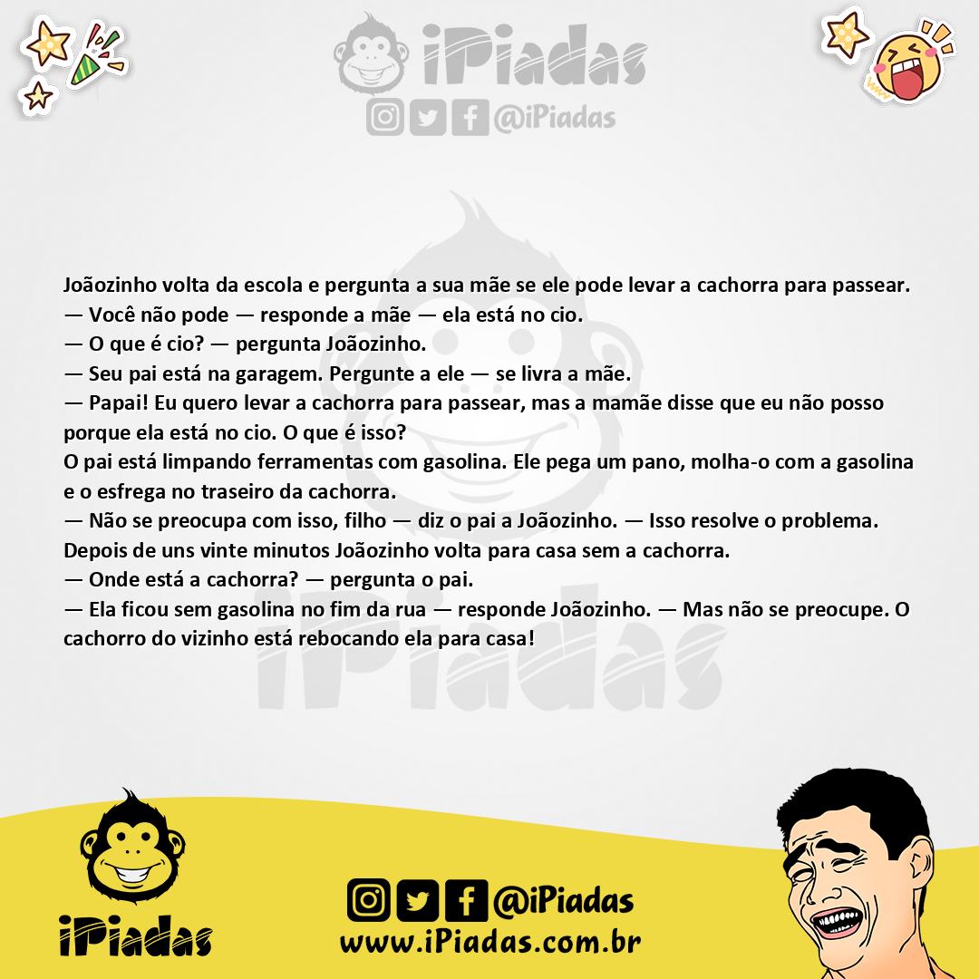 Ilustração da piada Cachorra no Cio no iPiadas