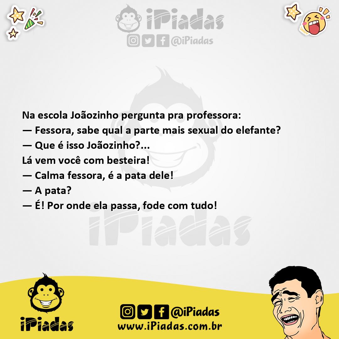Ilustração da piada Parte do Elefante no iPiadas