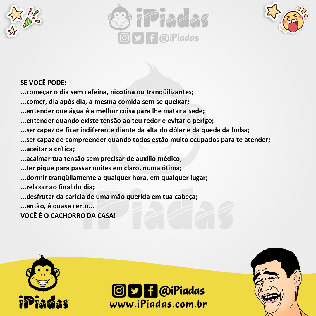 Ilustração da piada Cachorro da casa no iPiadas