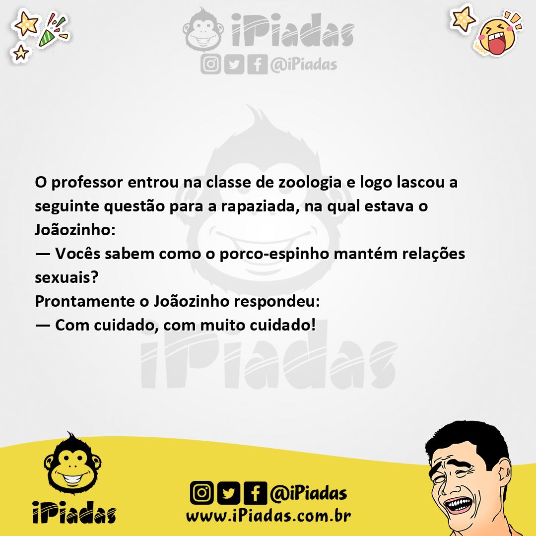 Ilustração da piada Relações do Porco-espinho no iPiadas