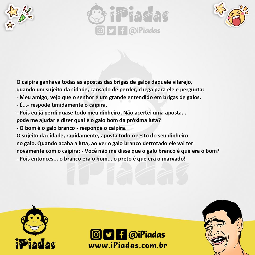 Ilustração da piada Brigas De Galos no iPiadas