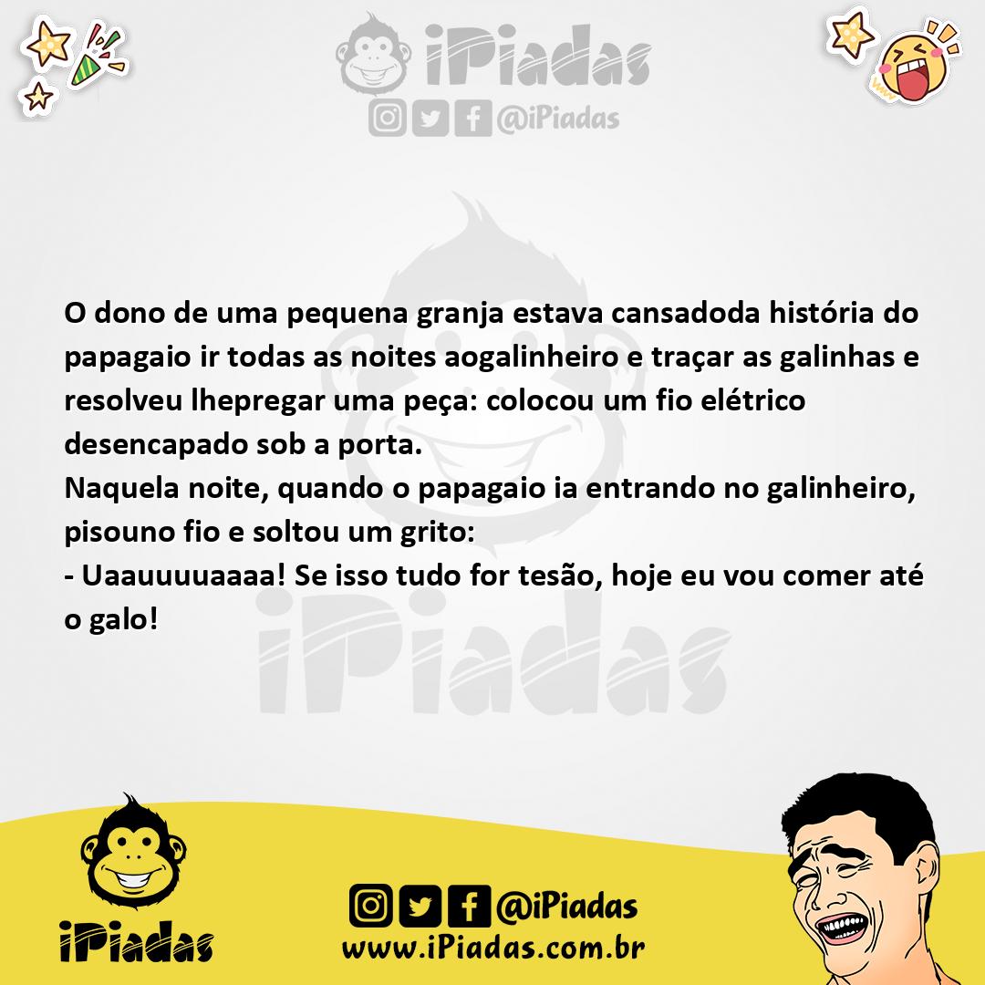 Ilustração da piada O Papagaio Tarado no iPiadas