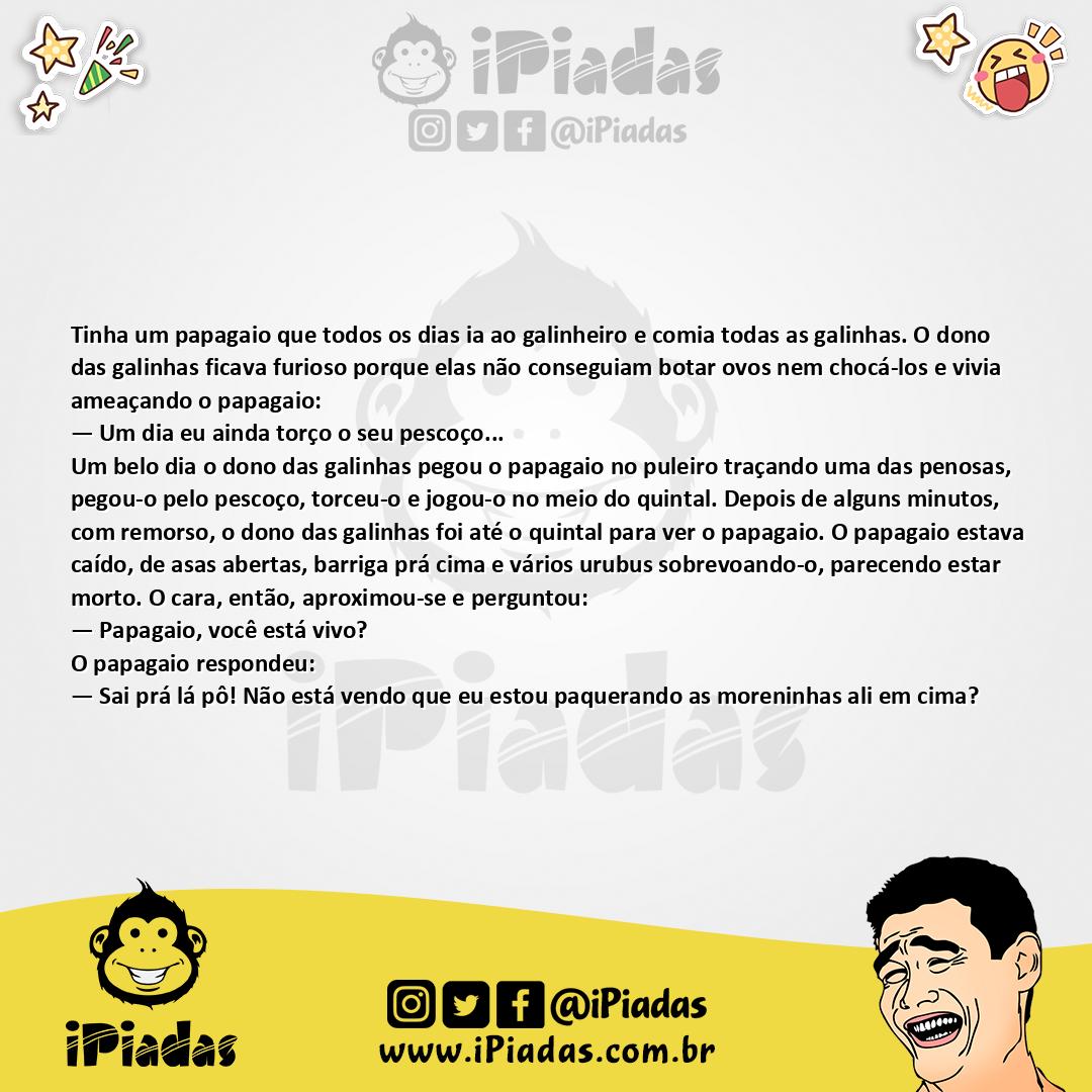 Ilustração da piada O Papagaio e as Galinhas no iPiadas