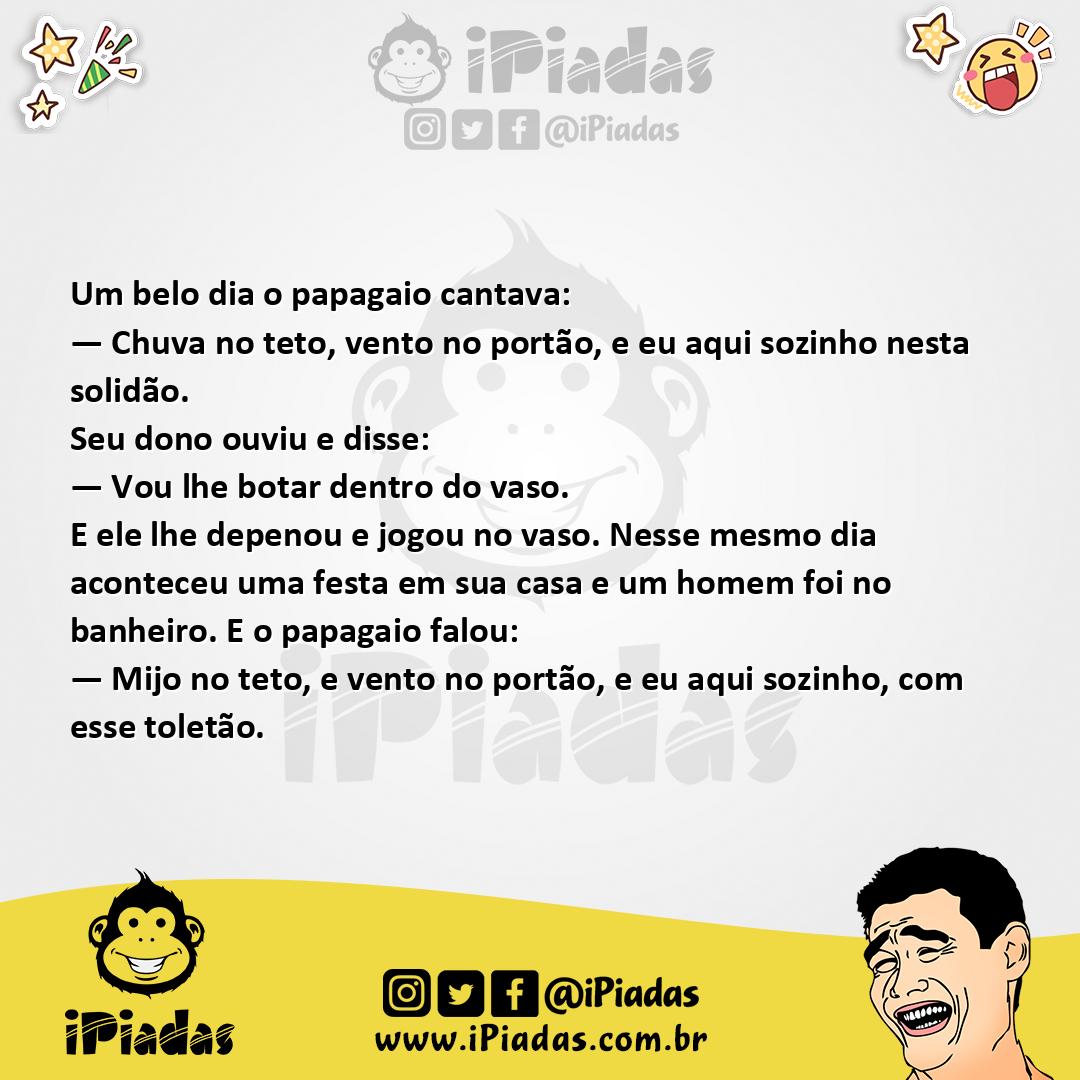 Ilustração da piada Papagaio Cantando no iPiadas