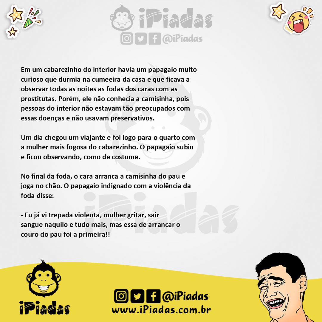 Ilustração da piada Papagaio ingênuo no iPiadas