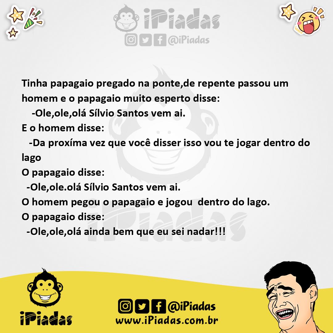Ilustração da piada Papagaio pregado na ponte no iPiadas