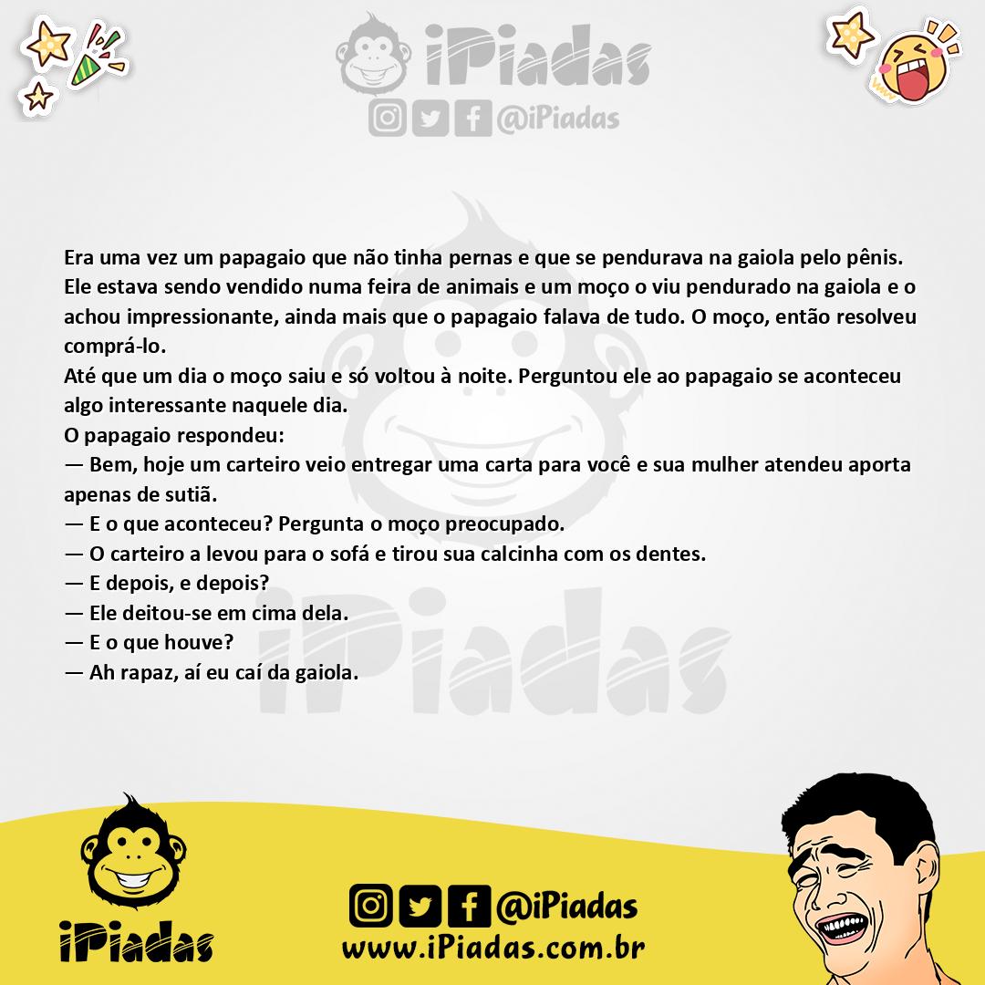 Ilustração da piada Papagaio sem Pernas no iPiadas