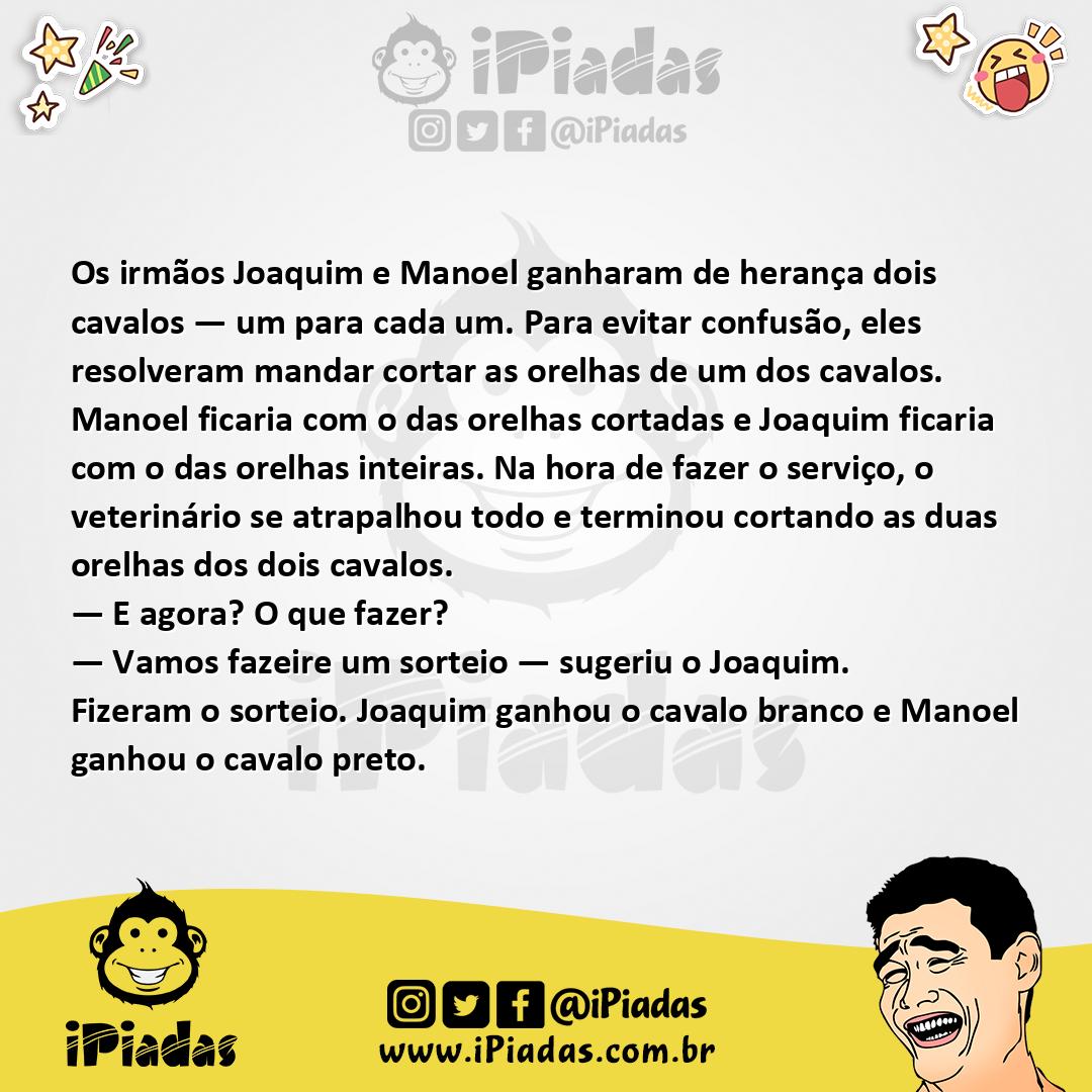 Ilustração da piada Dois Cavalos de Herança no iPiadas