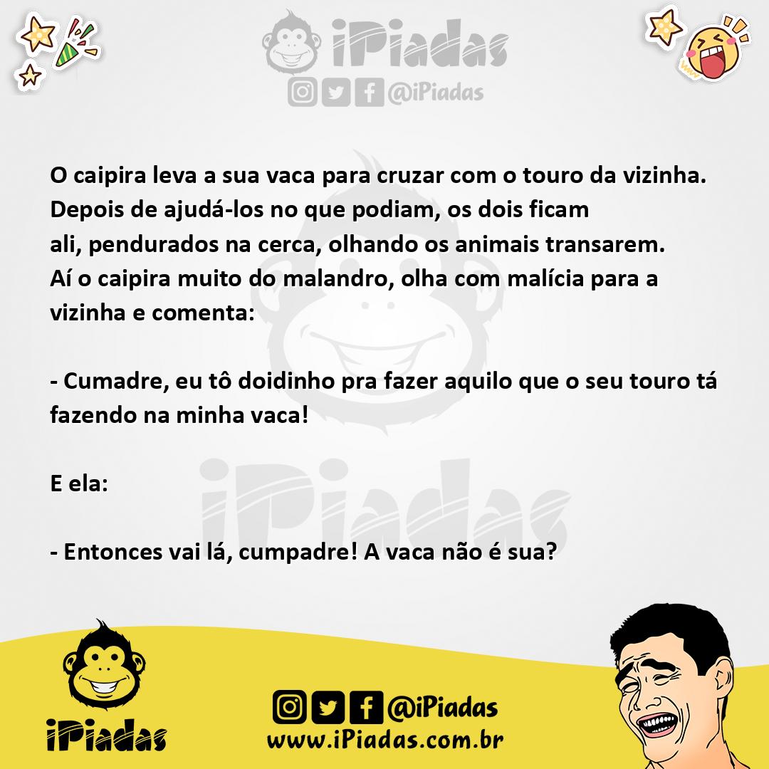 Ilustração da piada Cruzando o gado no iPiadas