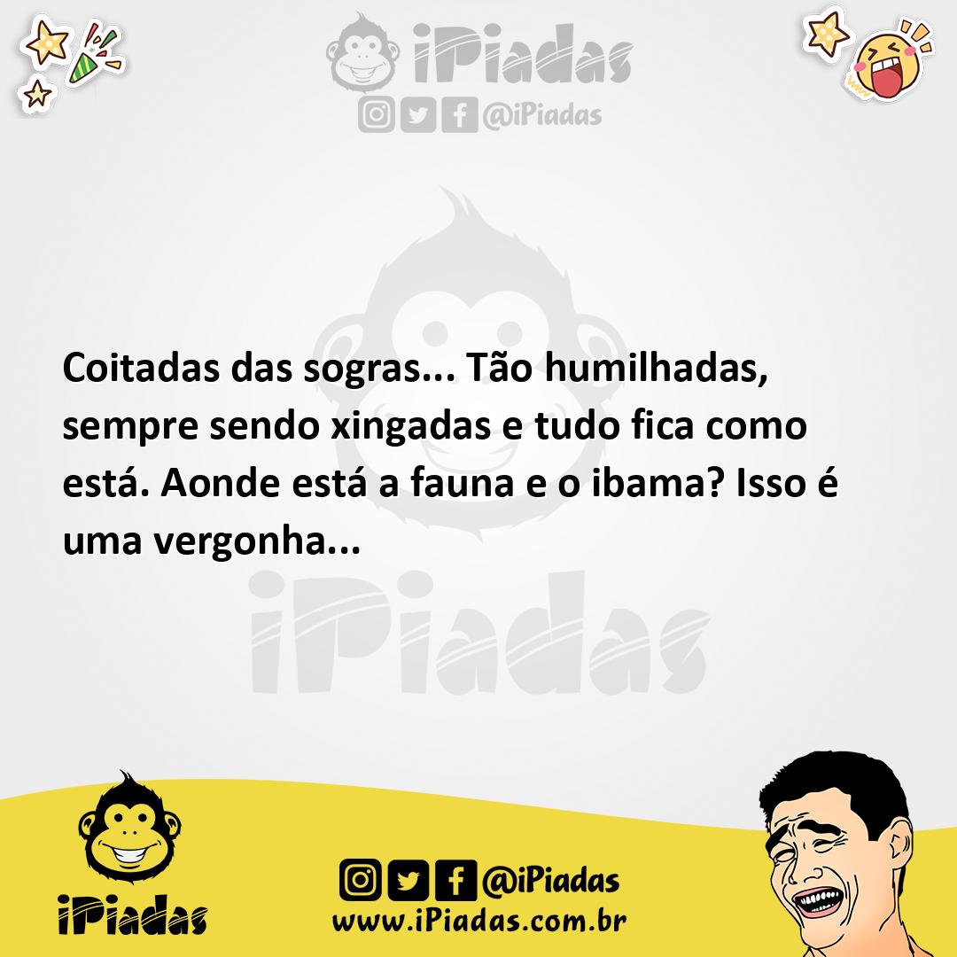 Ilustração da piada Direitos da sogra! no iPiadas