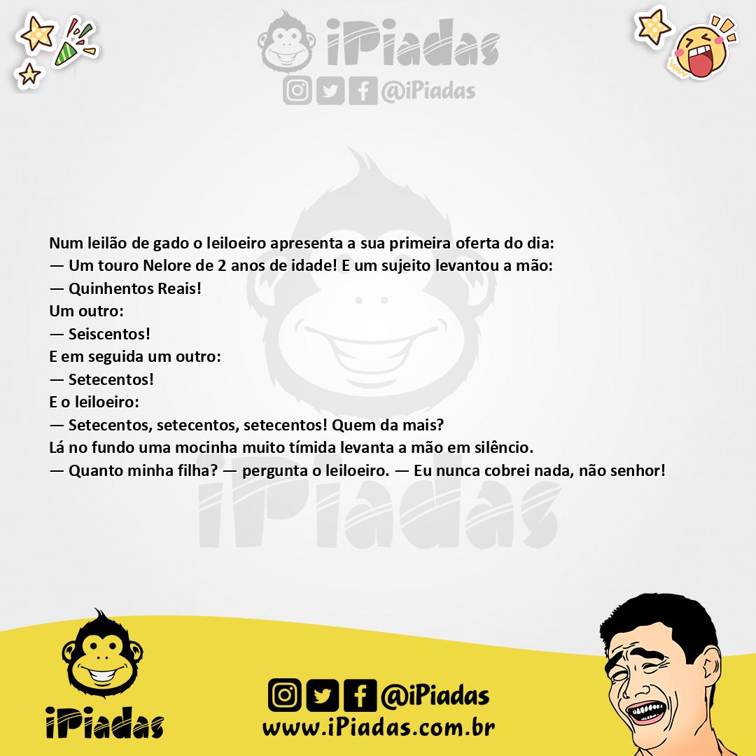 Leilão de Gado